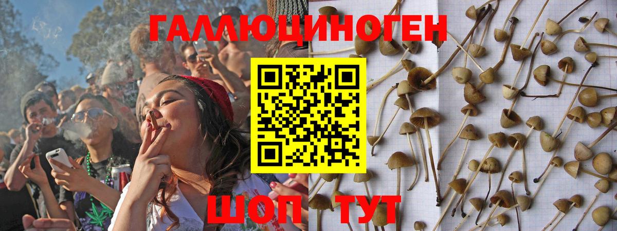 Псилоцибиновые грибы ЛСД Надым