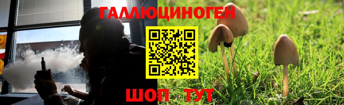 Галлюциногенные грибы Cubensis  Вход с VPN  Надым 